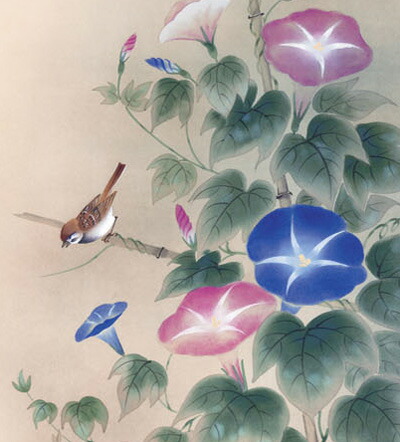 楽天市場】掛け軸 掛軸（かけじく）尺三幅 朝顔（高見 蘭石）花鳥画 夏