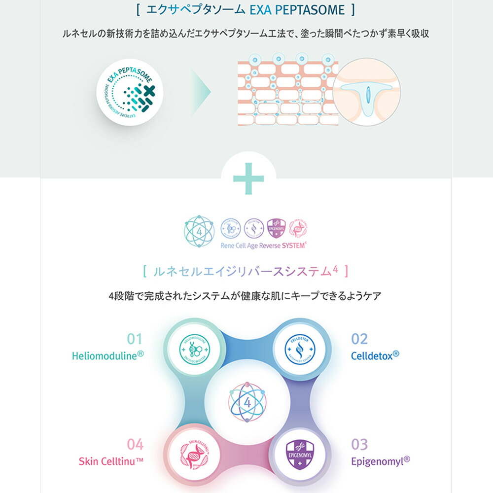 楽天市場】【Rene-Cell】ルネセル アブソーバー ヒアルロニック セラム