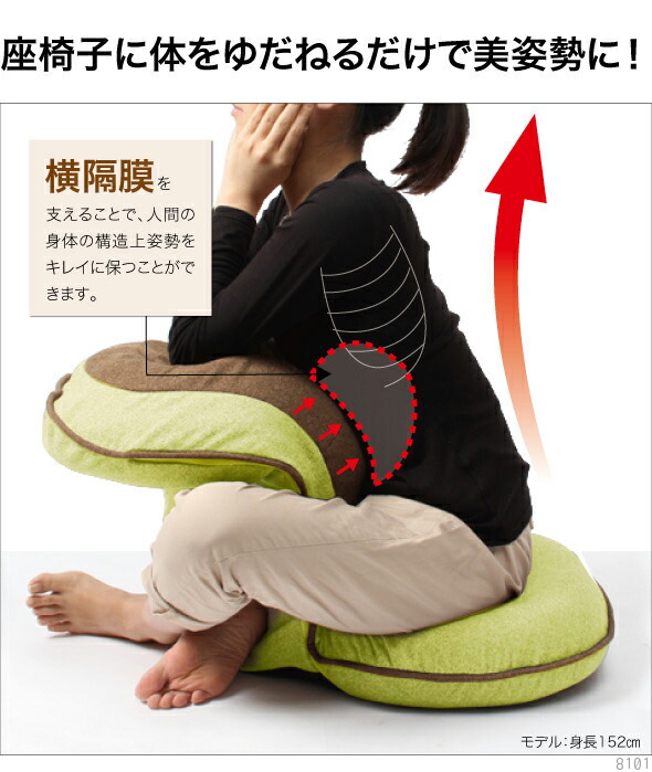 楽天市場】テレビで紹介☆背筋がguuun 美姿勢座椅子 リッチ RICH