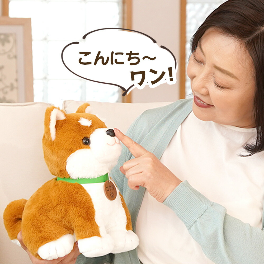 楽天市場】【ポイント10倍】しばいぬコウタ 柴犬コウタ バンダナ付き