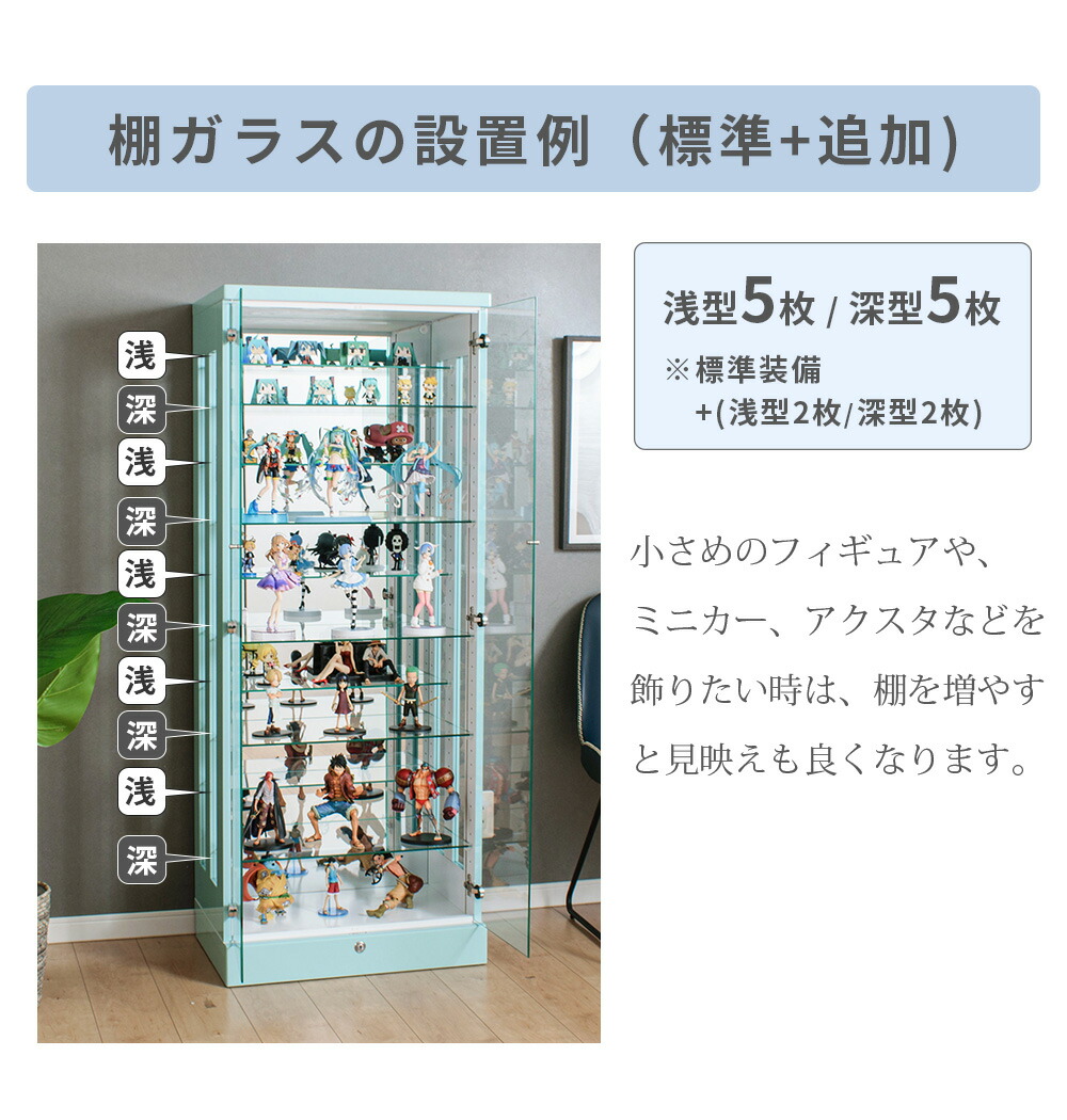 楽天市場】☆ポイント3倍！〜2/23(月)23:59まで☆ コレクションケース