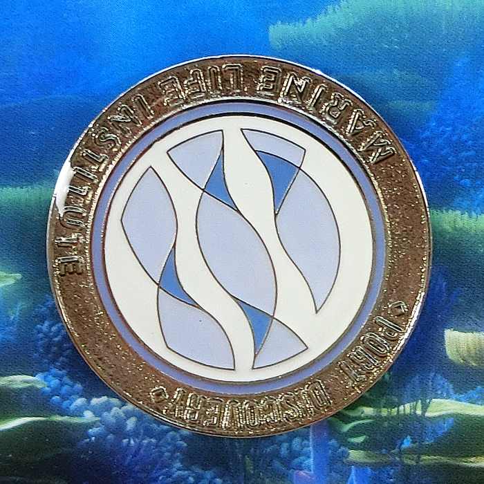 楽天市場】東京ディズニーシー ディズニー ピンバッチ 2個セット ニモ