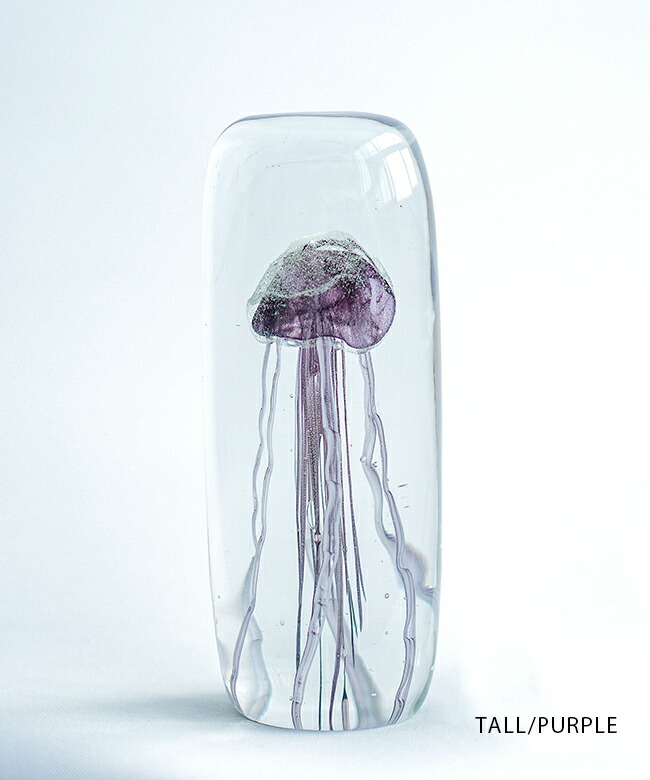 楽天市場】[H0138SPK]HERE by DETAIL Jellyfish Twisted Leg 