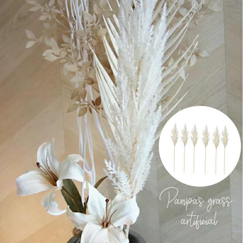 楽天市場】パンパスグラス 6本SET まとめ買い送料無料 インテリア