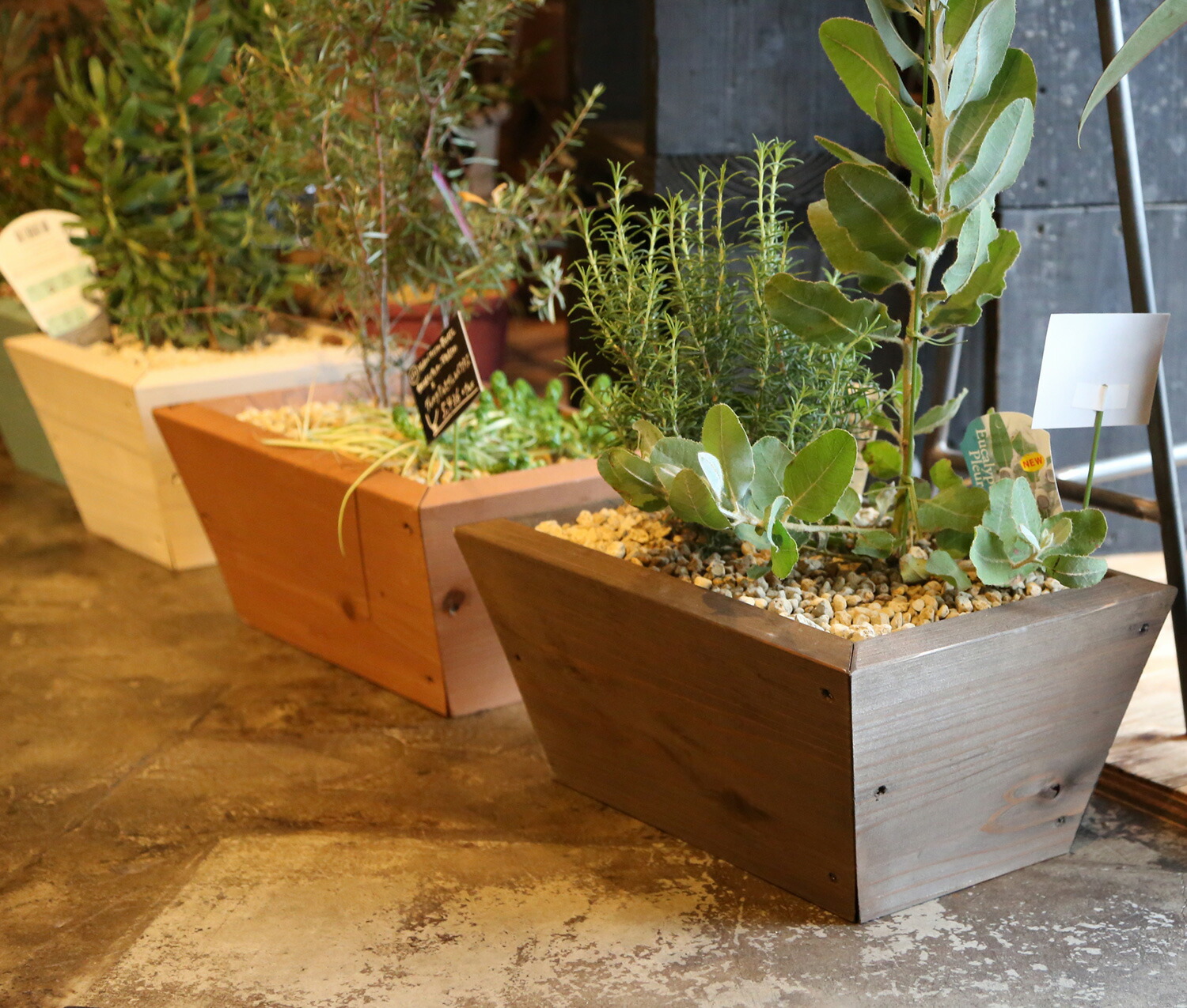 楽天市場】寄せ植えプランター（深底）長方形幅40cm×奥行26cm×高さ18cm