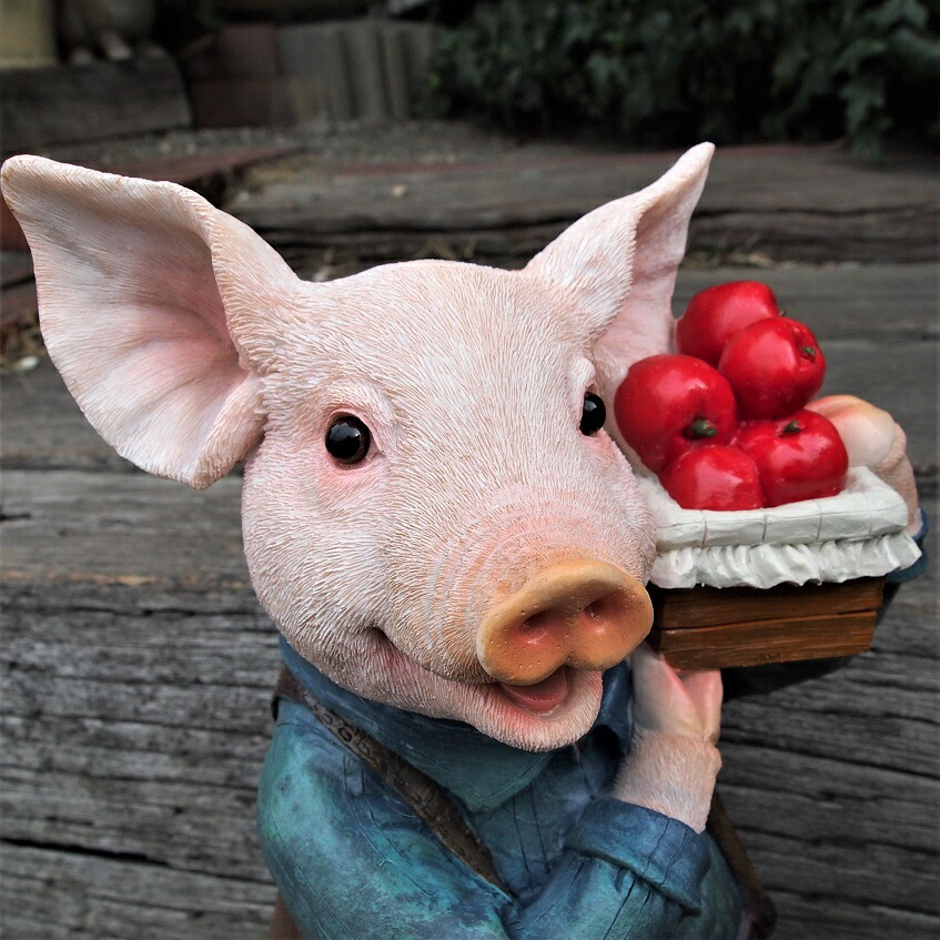 楽天市場】ぶたの置物 ぶたの夫婦 収穫 N15311・12 ブタ 豚