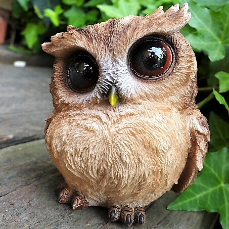楽天市場】フクロウの置物 ふくろう 茶 T14162 鳥 とり 動物