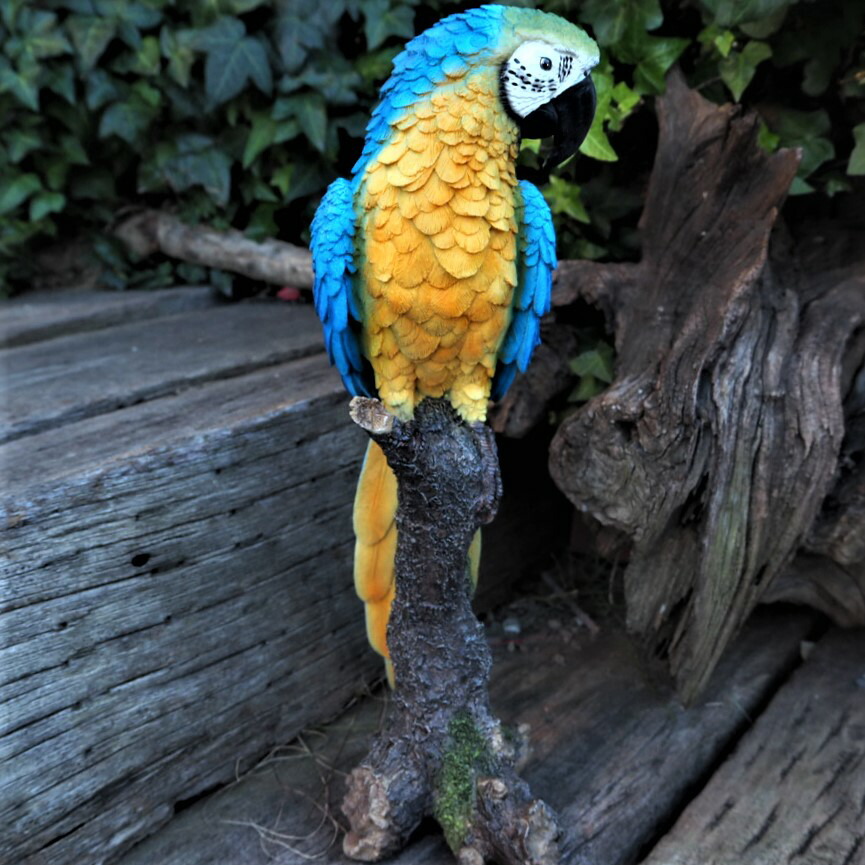 楽天市場】小鳥の置物 インコの置物 コンゴウインコ 特大 N14107