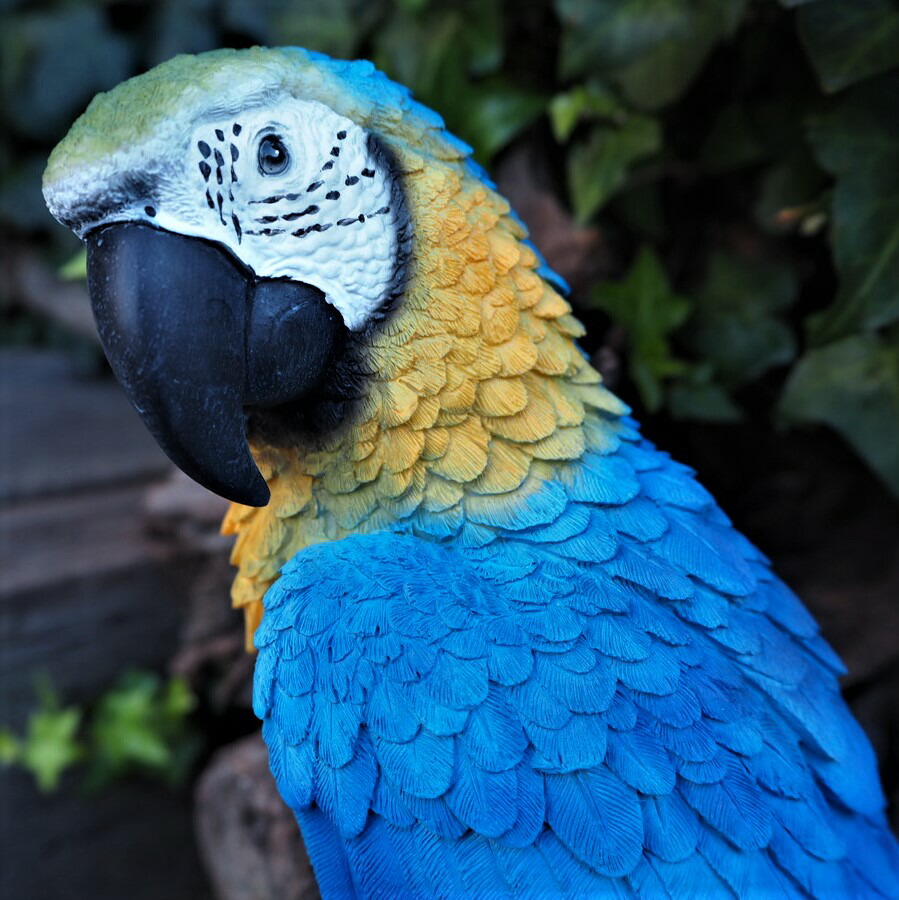 楽天市場】小鳥の置物 インコの置物 コンゴウインコ 特大 N14107