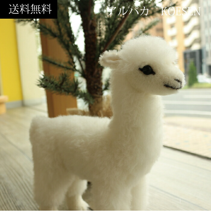 楽天市場】アルパカ 白 ぬいぐるみ 上質 ケーセン 小さい 可愛い