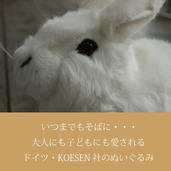 楽天市場】しろいうさぎ ぬいぐるみ 上質 ケーセン 小さい 可愛い