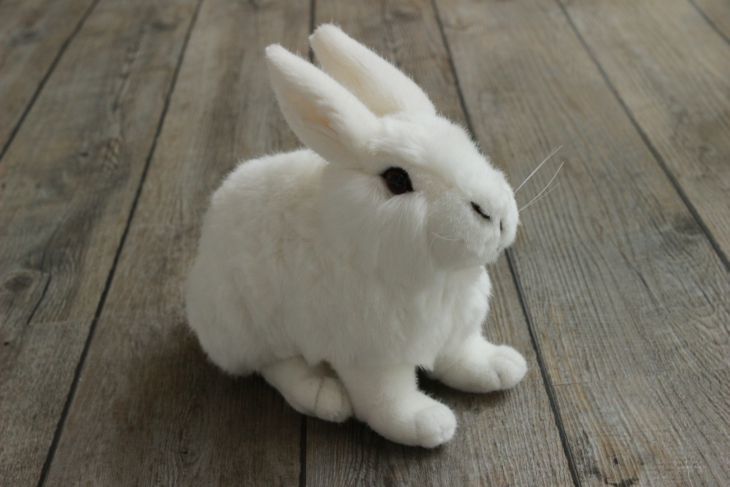 楽天市場】しろいうさぎ ぬいぐるみ 上質 ケーセン 小さい 可愛い