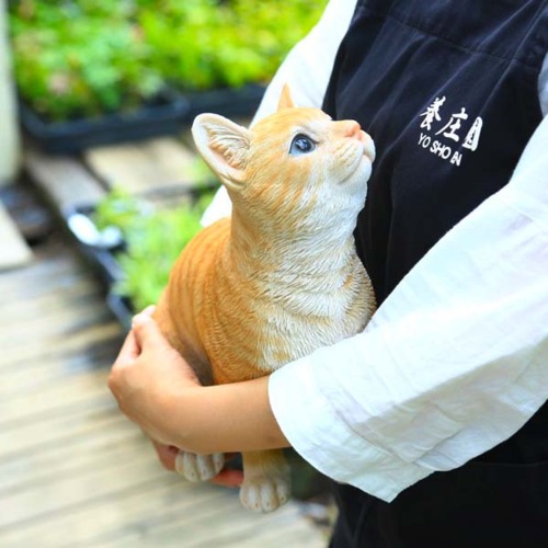 楽天市場】雑貨 置物・フィギュア：ねこ あそぼーニャー*ネコ 猫 資材