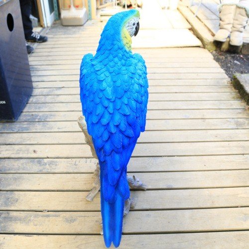 楽天市場】雑貨 置物・フィギュア：インコ青 超特大* 大型ヤマト便