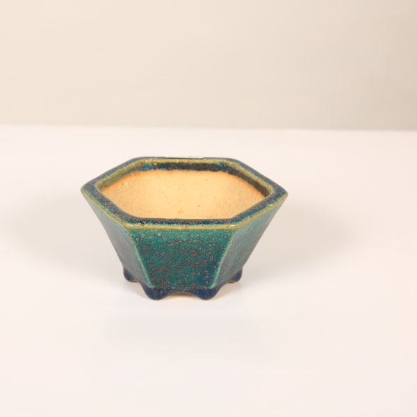 鴻陽　盆栽鉢 鴻陽織部釉木瓜式鉢 | 盆栽、盆栽書籍、盆栽鉢の通販│近代出版