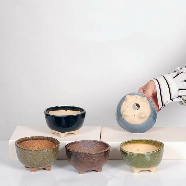 楽天市場】現代小鉢：祥石(二代目)ゆうき*中 丸鉢 3号 : 遊恵盆栽 楽天