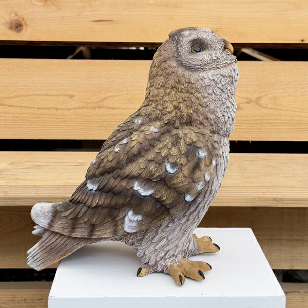 楽天市場】雑貨 置物 フィギュア：オウル*Owl フクロウ ふくろう