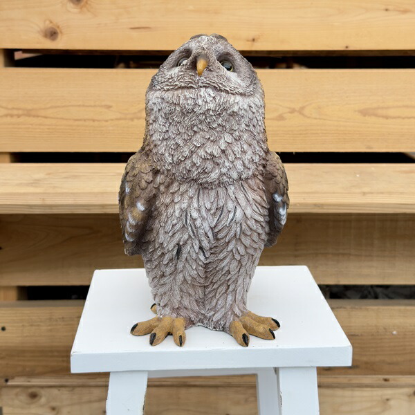 楽天市場】雑貨 置物 フィギュア：オウル*Owl フクロウ ふくろう