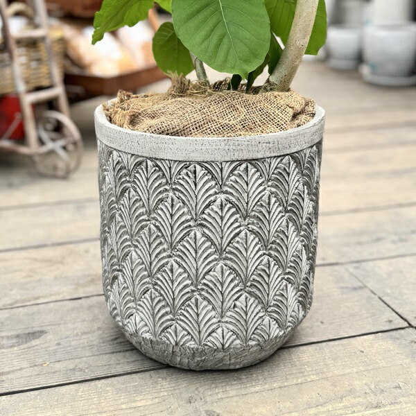 楽天市場】おしゃれ 観葉植物：フィカス ウンベラータ*鉢カバー 麻布