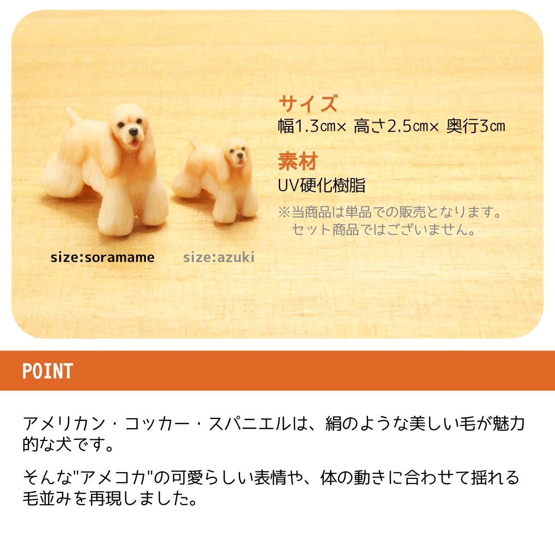 楽天市場】【soramame】Partner's 122 アメリカン・コッカー