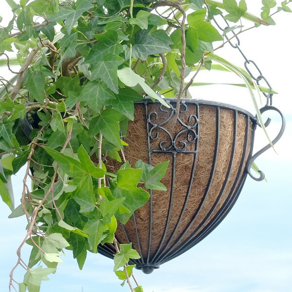 楽天市場】【ポイント5倍】○◇CULTIVATOR 04-8350 アンティーク