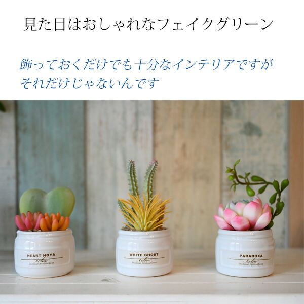 楽天市場】光触媒より便利な『CT触媒フェイクグリーン カラフル多肉
