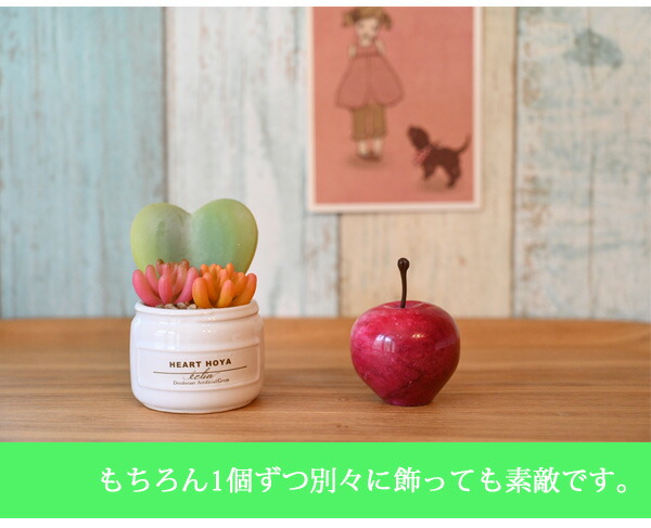 楽天市場】光触媒より便利な『CT触媒フェイクグリーン カラフル多肉