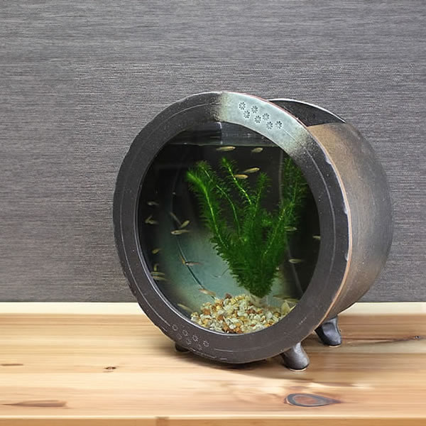 楽天市場】信楽焼 水槽 丸型大(茶色)陶器水槽 陶器とガラスがコラボ