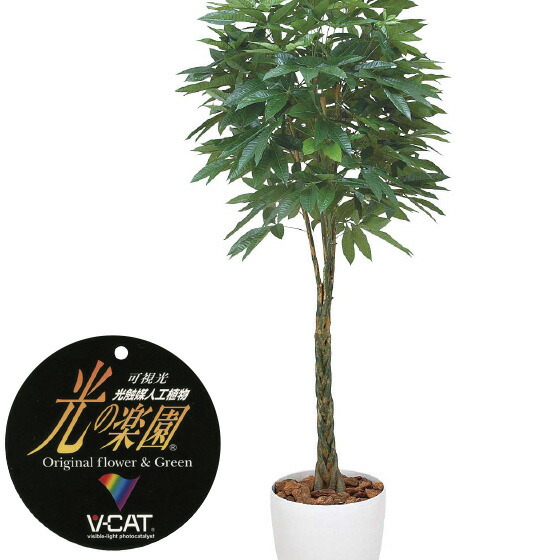 楽天市場】【クーポンで10%OFF】 人工観葉植物 パキラ1.6 フェイク