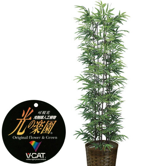 楽天市場】【クーポンで10%OFF】 人工観葉植物 黒竹1.8 フェイク