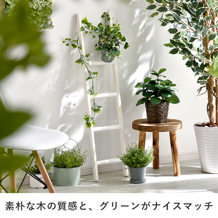 楽天市場】☆ポイント5倍☆ラダーラック はしご 木製 インテリア 雑貨
