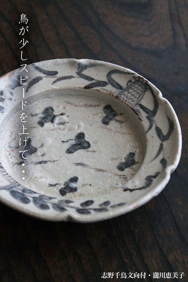 楽天市場】志野焼：志野千鳥文向付・瀧川恵美子《小鉢・16.5cm》 : 和