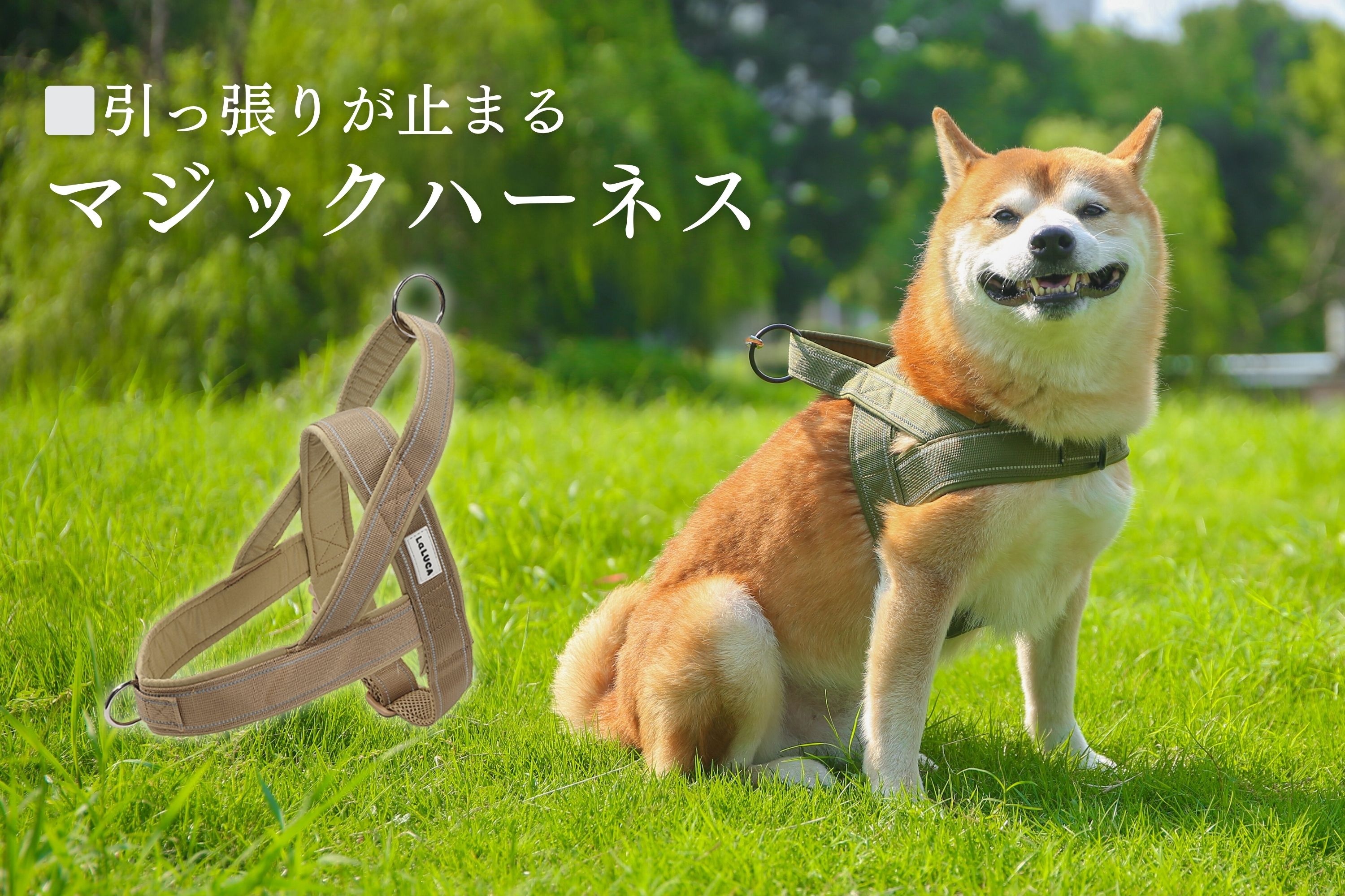 楽天市場 | LaLUCA 楽天市場店 - 皆さまの生活を豊かにする良品を