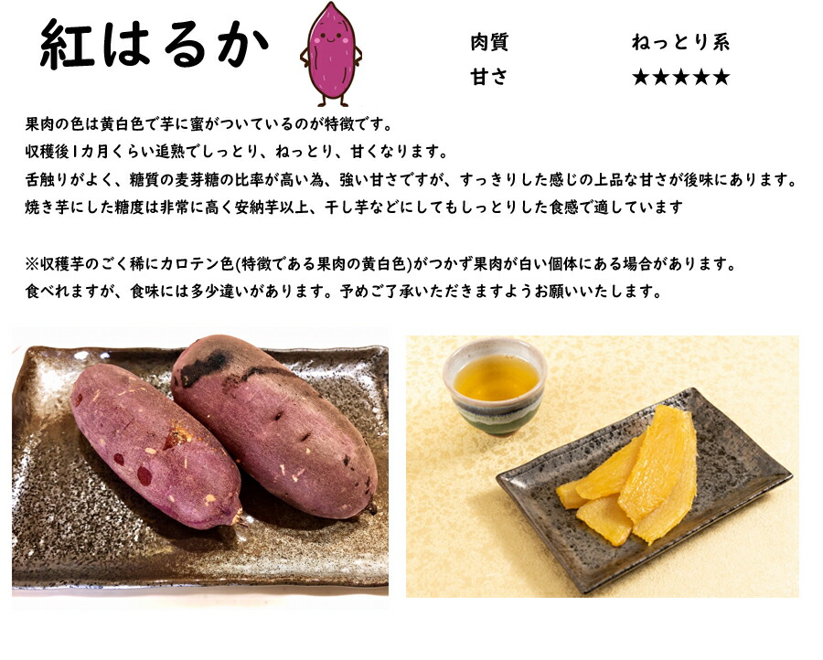 楽天市場】【2025年 予約商品】紅はるか サツマイモ切り苗 10本（登録