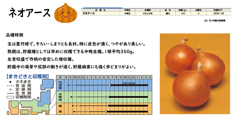 楽天市場】【予約商品 10月～11月発送開始】玉ねぎ苗 中晩性