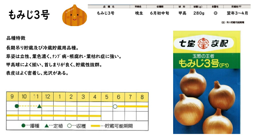 楽天市場】【予約商品 10月～11月発送開始】玉ねぎ苗 晩生 もみじ3号