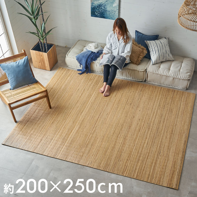 cpt-cp1000-250.jpg?fitin=720:720