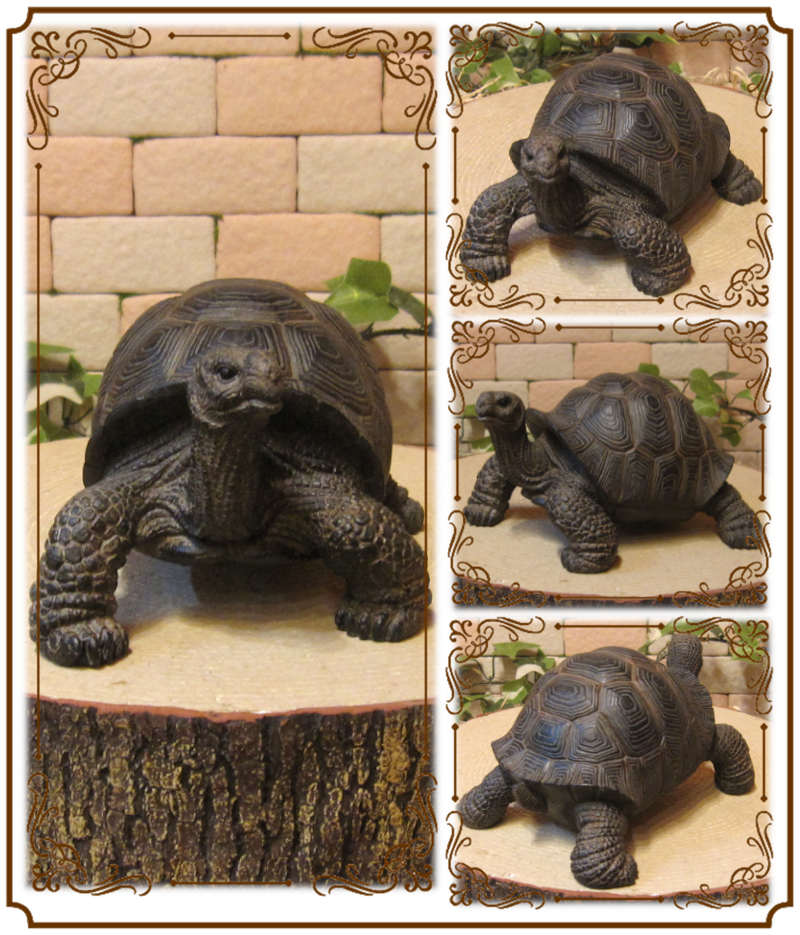 楽天市場】カメ 置物 Aタイプ リアルな亀の置物 爬虫類 縁起物 幸運