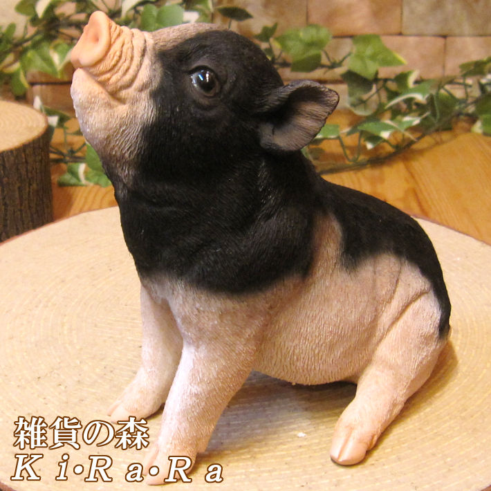 楽天市場】ブタの置物 おすましブー ブラックホワイト ピッグ 豚