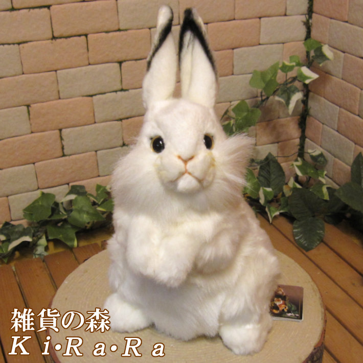 楽天市場】ウサギ 置物 リアルなうさぎのぬいぐるみ 白うさぎ 立ち