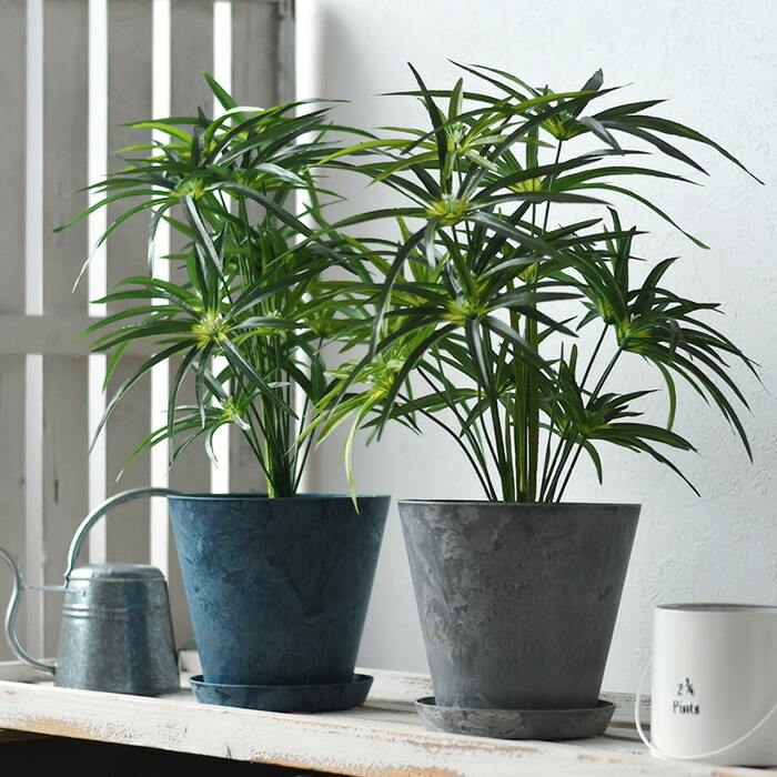 楽天市場】＼楽天1位／ 植木鉢 amabro アートストーン Mサイズ ART