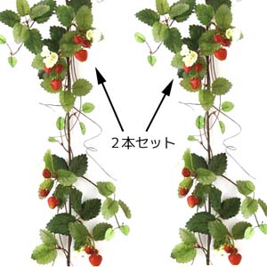 楽天市場】*【2本でお買い得】ストロベリーガーランド(いちご