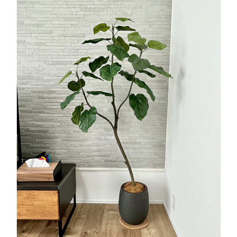 楽天市場】No92661 プレミアム光触媒フェイクグリーン 【幹をグネグネ