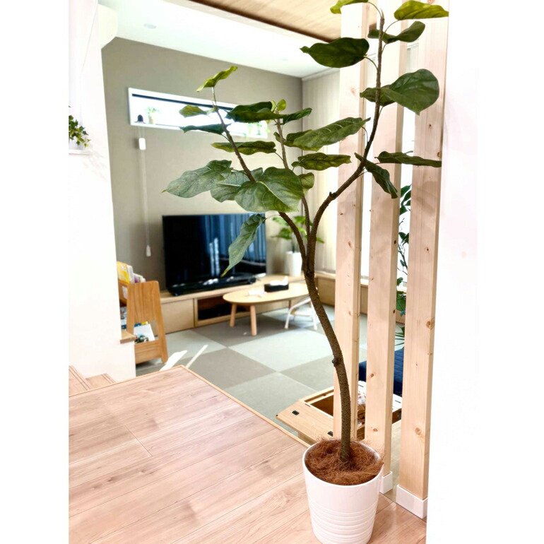 楽天市場】No92661 プレミアム光触媒フェイクグリーン 【幹をグネグネ