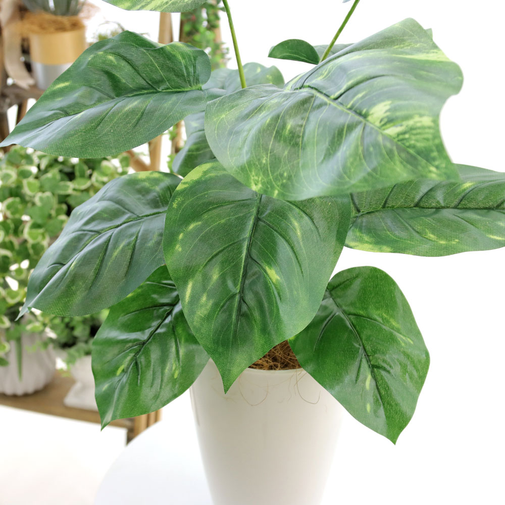 楽天市場】No93691 プレミアム光触媒フェイクグリーン 「ポトス 葉12枚