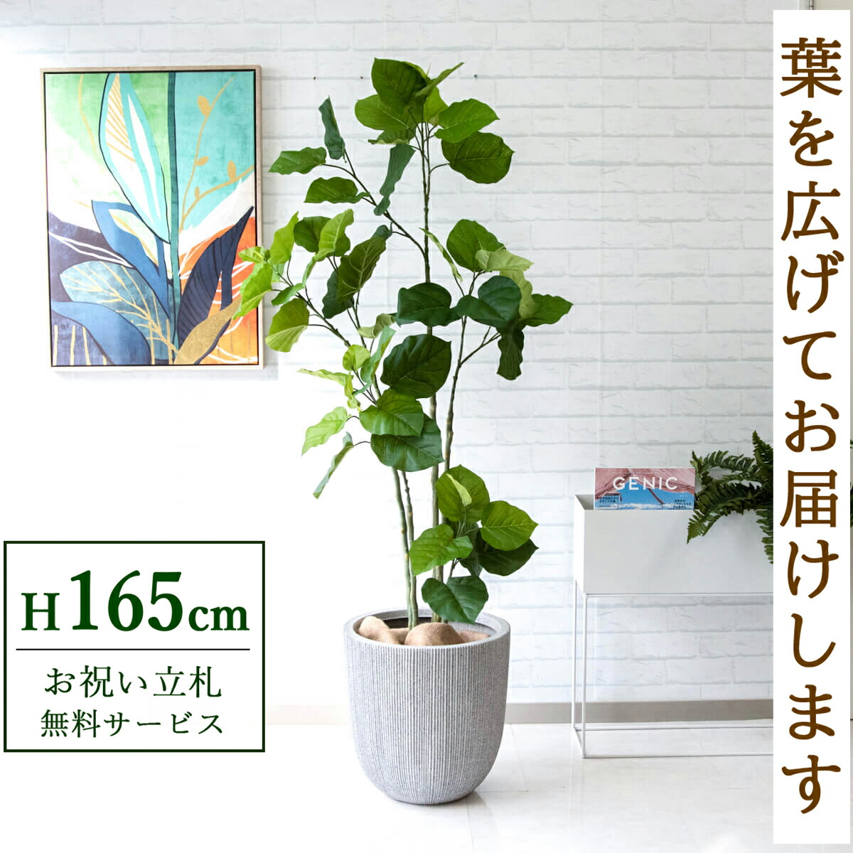 楽天市場】フェイクグリーン 観葉植物 人工観葉植物 フィカス