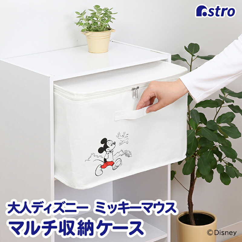 楽天市場】【店内最大20%FFクーポン】【期間限定特価】収納 ボックス