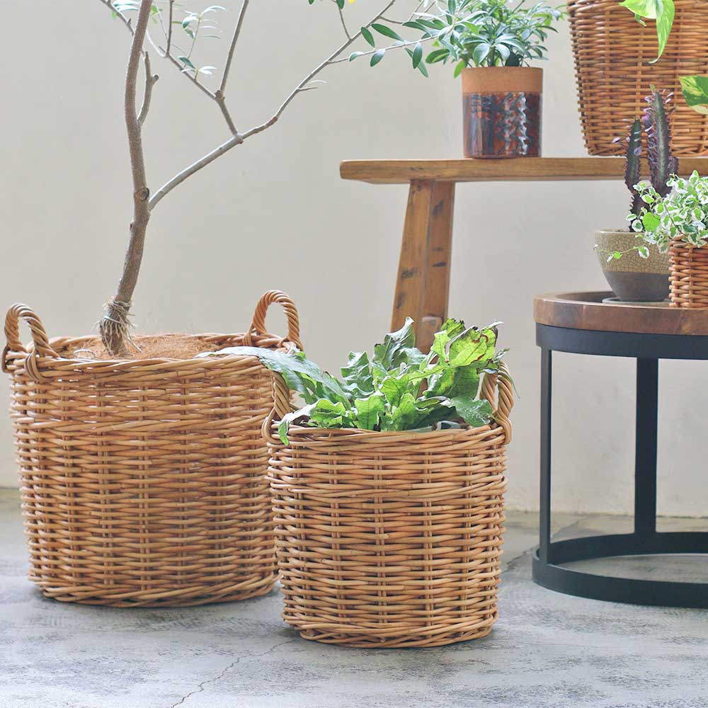 楽天市場】【公式】アラログ プランターバスケット 6号鉢用(THE AROROG