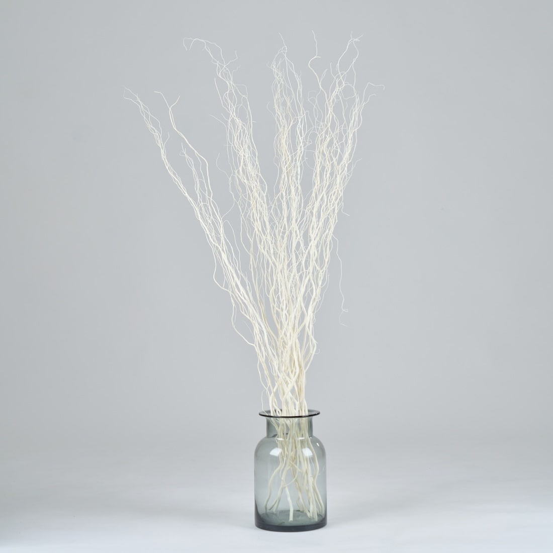 BIGボタニカル｜ドライ］雲竜柳 ホワイト 100-120cm 商品ページ - 土と