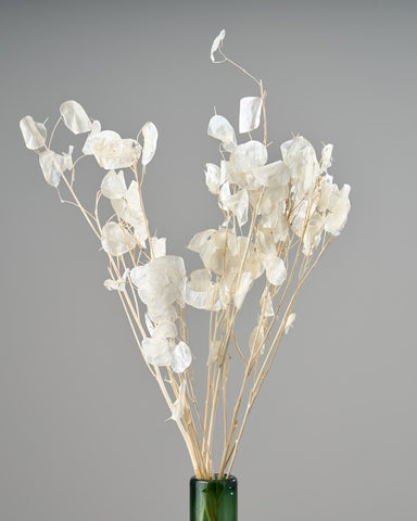 20250812_0111-min_large.jpg?v=